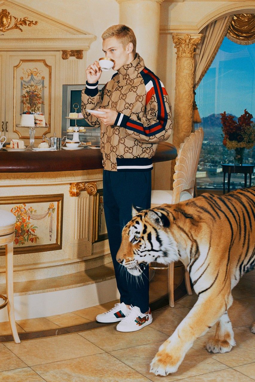 https___hypebeast.com_image_2022_01_gucci-tiger-collection-8.jpg (223 KB)