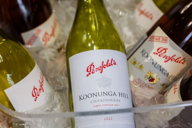 Penfolds Premiere in Armenia: Iconic Wines with a Global Legacy Now Presented at VINO&VINO