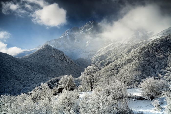 Life-Framer-Planet-Earth-3-HaykBarseghyan.jpg (81 KB)